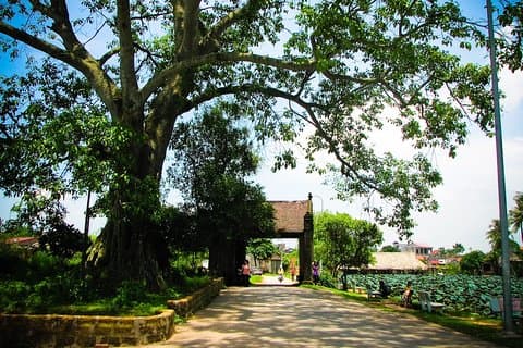 Duong Lam Ancient Village Privétour met volledige dag