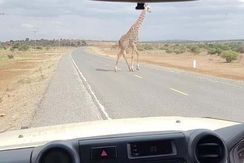 Halvdagstur til Arusha nasjonalpark