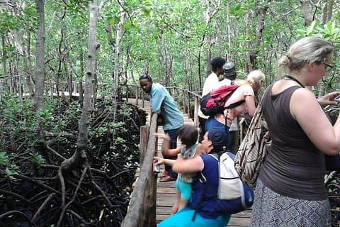 Excursão à Fazenda de Especiarias e Floresta Jozani - Viagem Privada