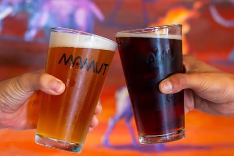 Tour da cerveja artesanal mexicana saindo de San Diego