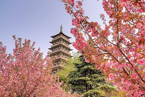 Private Transfer from Wuxi or Sunan Shuofang Int'l Airport to Yangzhou City