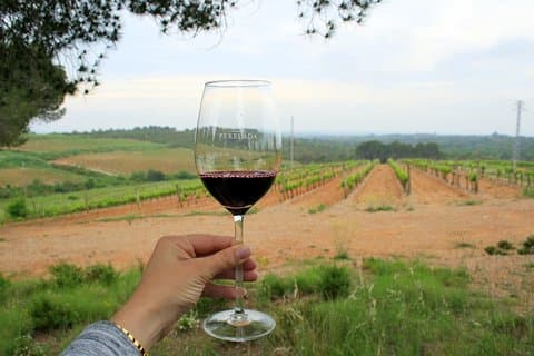 Wijn- en cavatour van een hele dag op het platteland van Barcelona met lunch