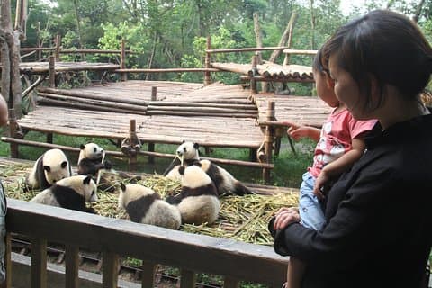 5-dagers privat tur fra Zhangjiajie til Chengdu
