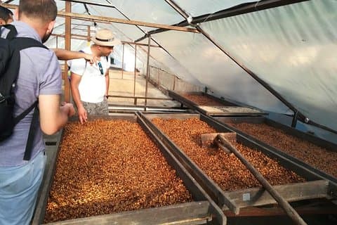 Spesialkaffeopplevelse og smaksprøver 20 min fra El Poblado MDE