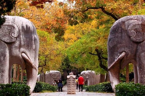 6-Hour Private Tour of Xiaoling Tomb,City Wall & Memorial Hall