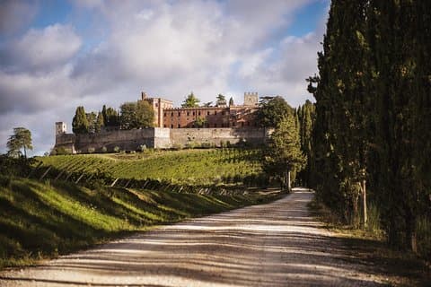 Siena and Chianti Country with Lunch&2WineTastings from Florence