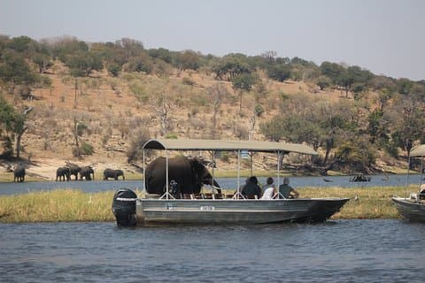 Chobe Tagessafari von den Victoria Fällen
