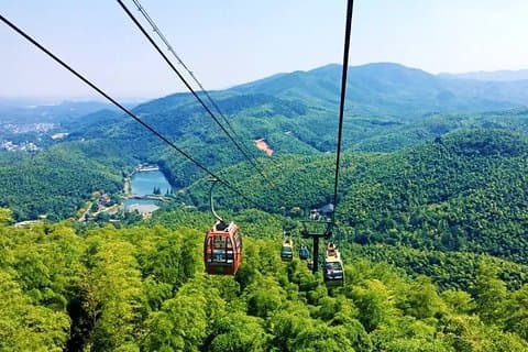 All Inclusive Yixing Bamboo Forest Private Day Tour from Shanghai