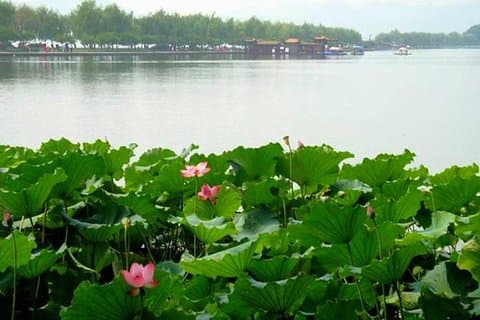 Private Tour: Hangzhou Heaven on Earth Day Excursion including West Lake Cruise