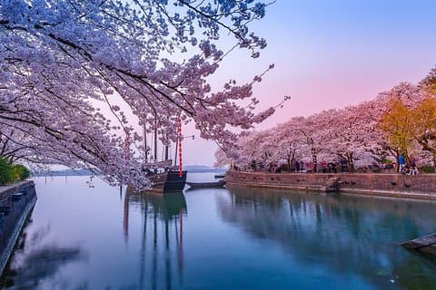 Private Transfer between Wuxi city and Taihu Yuantouzhu Scenic