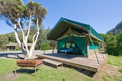 Safari in Tanzania Lodge di 8 giorni | Semilusso.