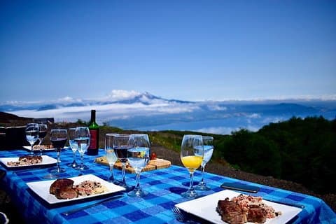 Premium Full Day Shared Tour Osorno Volcano and Petrohue Falls