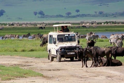 5 Days Tanzania Private Safari Tour