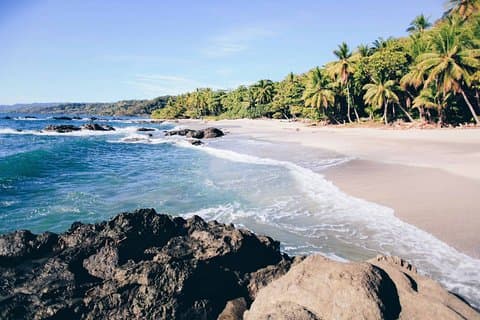 Samara to from Montezuma Private Shuttle (1-6 px)