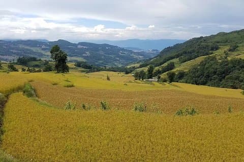 Private Overnight Tour to Yuanyang Rice Terraces from Kunming