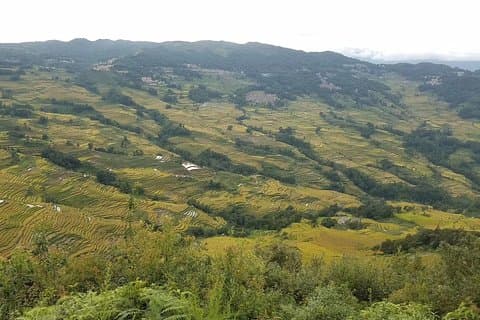 Private 3-Day Tour to Jianshui Old Town and Yuanyang Rice Terraces from Kunming