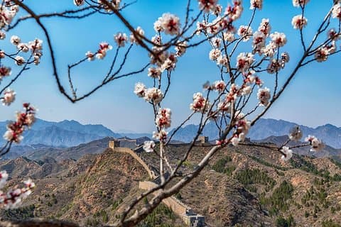 Traslado privado a la Gran Muralla de Jinshanling con conductor experimentado