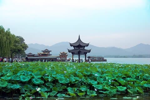 Hangzhou Private Day Tour of West Lake, Lingyin Temple and Tea Village