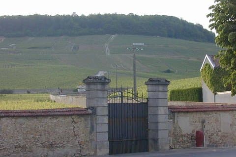 Private Grand & Premier Cru Chardonnay Champagne Vineyard Tour