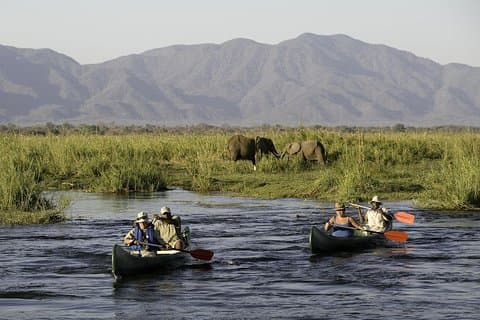 Excursión de un día al Parque Nacional Arusha