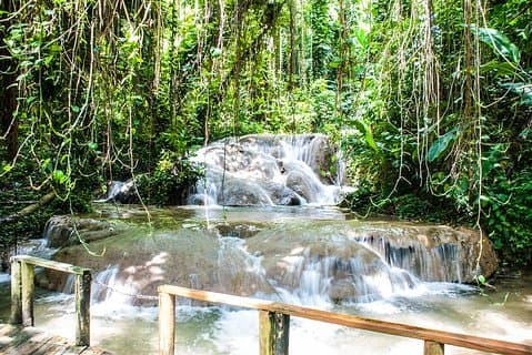 Turtle River Falls and Gardens Privat tur