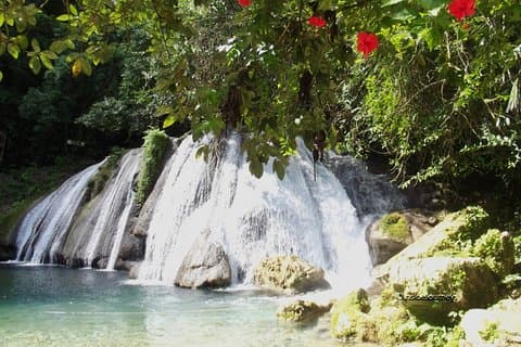 Tour privato combinato 2 in 1 di Reach Falls e Blue Lagoon