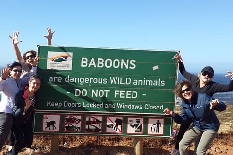 Kaap de Goede Hoop en Kaapse Wijnlanden Dagtour vanuit Kaapstad