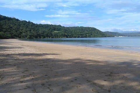 Trasferimento di sola andata da Papagayo all'aeroporto SJO o San José fino a 5 passeggeri