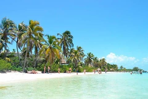 Isla Contoy Hidden Beauty! Transportation from Riviera Maya