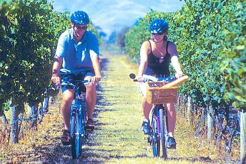 Hawkes Bay vingårdar självguidad cykeltur