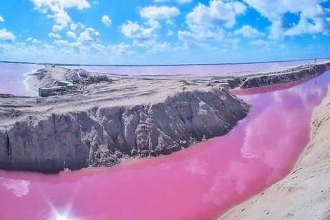 Tour Privado : Ek Balam, Santuario de Flamencos Rosados y Fábrica de Cata de Tequila