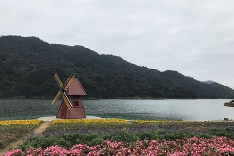 Private Day Tour to Shimen National Park from Guangzhou + Seasonal Fruit Pickup