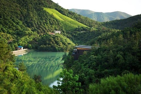 Trasferimento privato a Mogan Mountian da Hangzhou