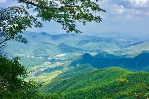 Trasferimento privato di andata e ritorno sulla montagna di Mogan da Hangzhou