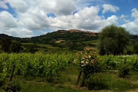 Wein- und Käseverkostungen Südtoskana ShoreExcursion vom Hafen Civitavecchia