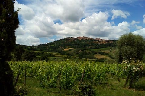 Montepulciano and Pienza Tuscany Wine&Cheese Fullday from Florence