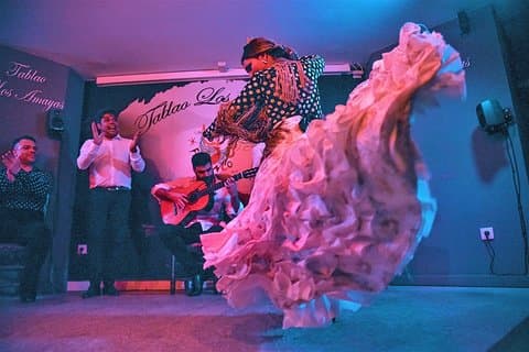 Flamenco-, tapas- og vintur: Det beste fra Málaga på én kveld