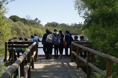 Privater Doñana Nationalpark 4x4