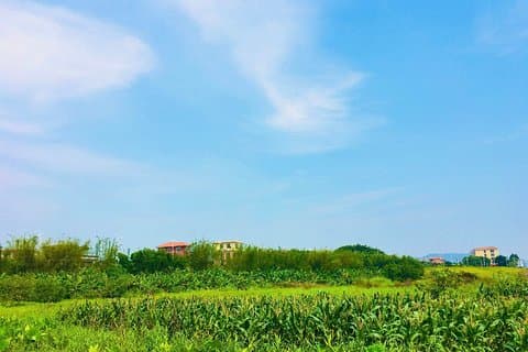 Excursión privada de un día desde Guangzhou a Yanqiao Village, Wu's Yard, isla Haishou