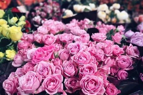 Excursión privada de medio día al mercado de flores de Kunming y clase de cocina de pastelería de flores