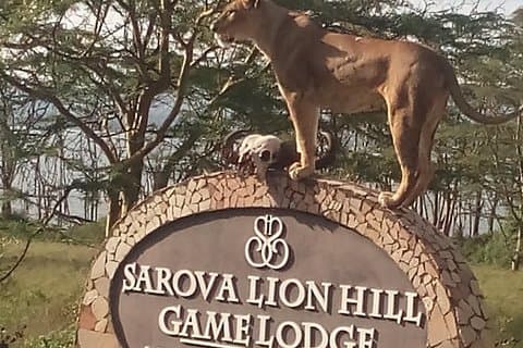 5 dages safari til Aberdare N/P, Nakuru N/P og Maasai Mara N/R.