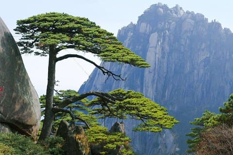 Trasferimento privato a Yellow Mountain da Hangzhou
