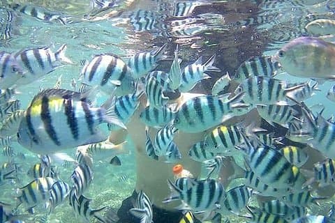 Lombok turpakke, 4 dager 3 netter