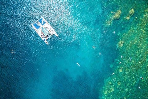 Maui : 2.5 Horas de Snorkel Xpress desde la playa de Ka’anapali