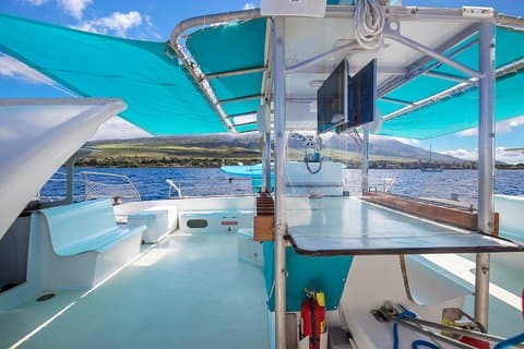 Maui: Hvalskørsel med åben bar fra Ka'anapali Beach