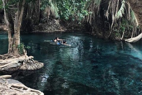 Kikuletwa Hotspring Day Tour