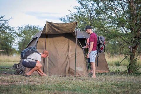 Safari de 4 jours en Tanzanie