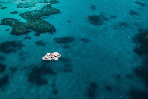 Croisière sur la Grande Barrière de Corail au départ de Townsville ou Magnetic Island