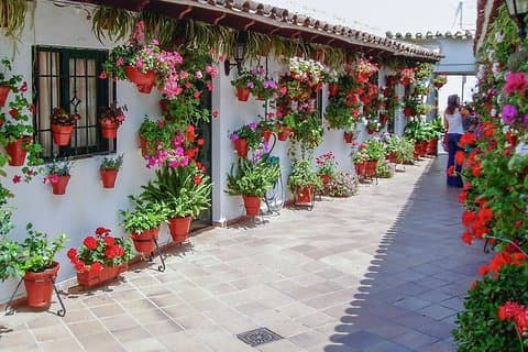 Auténticos Patios de Córdoba : Tour de 2 horas con entradas