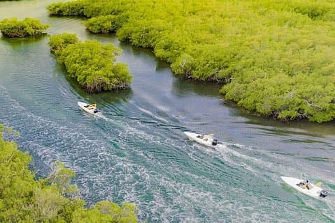 Visite de la jungle. Lagon, mangroves et tuba pour couples